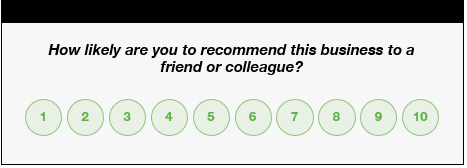 A customer feedback example using the NPS system